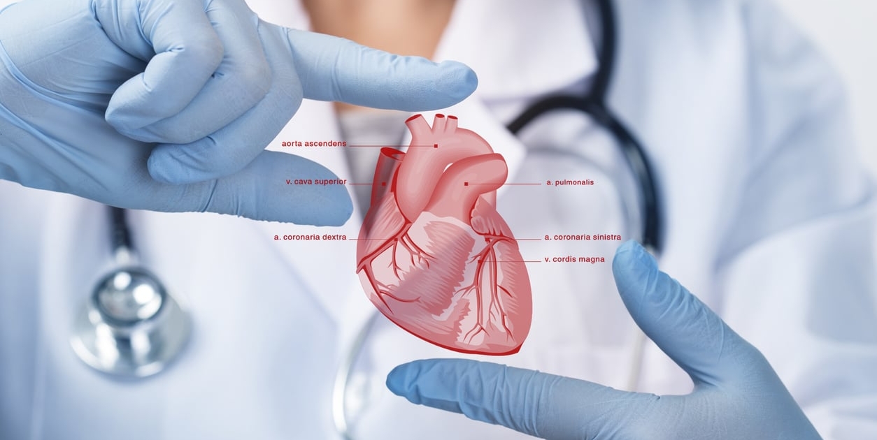 Cardiology